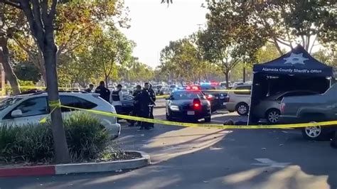 San Leandro: Woman shot and killed during domestic dispute
